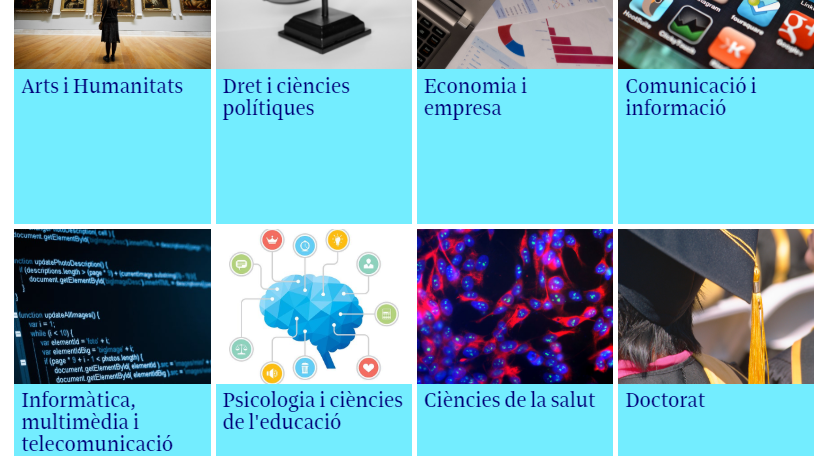 Infografia guia d'acolliment