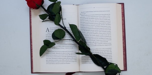 Book and rose